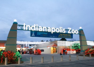 Christmas at the Indianapolis Zoo