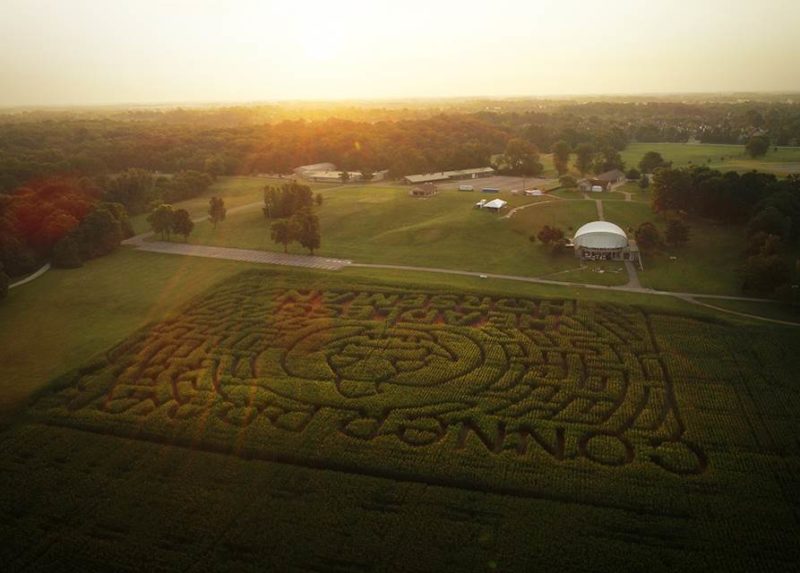 Corn Maze at Conner Prairie