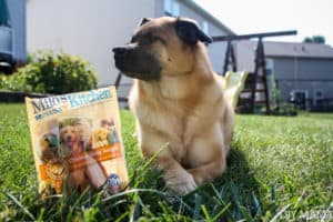 Milo's Kitchen Home-Style Dog Treats
