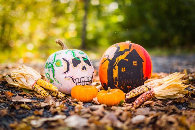 Pumpkin Inspired Treats, Jack-o'-lanterns and Decor for Halloween